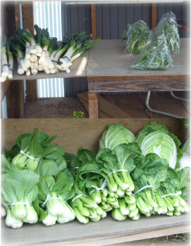 無人野菜販売所